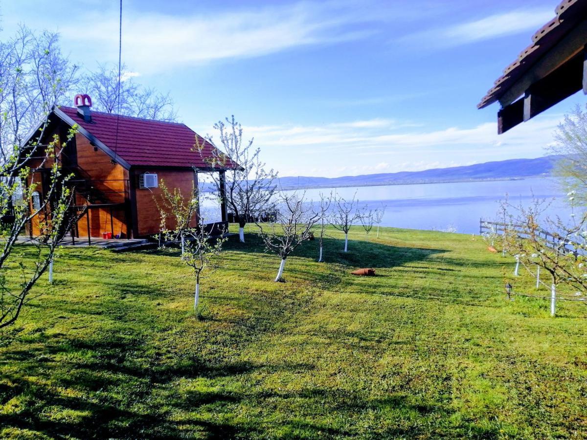 Villa Carobni Breg Golubac Esterno foto