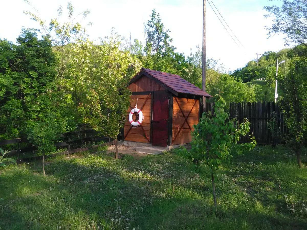 Villa Carobni Breg Golubac Esterno foto