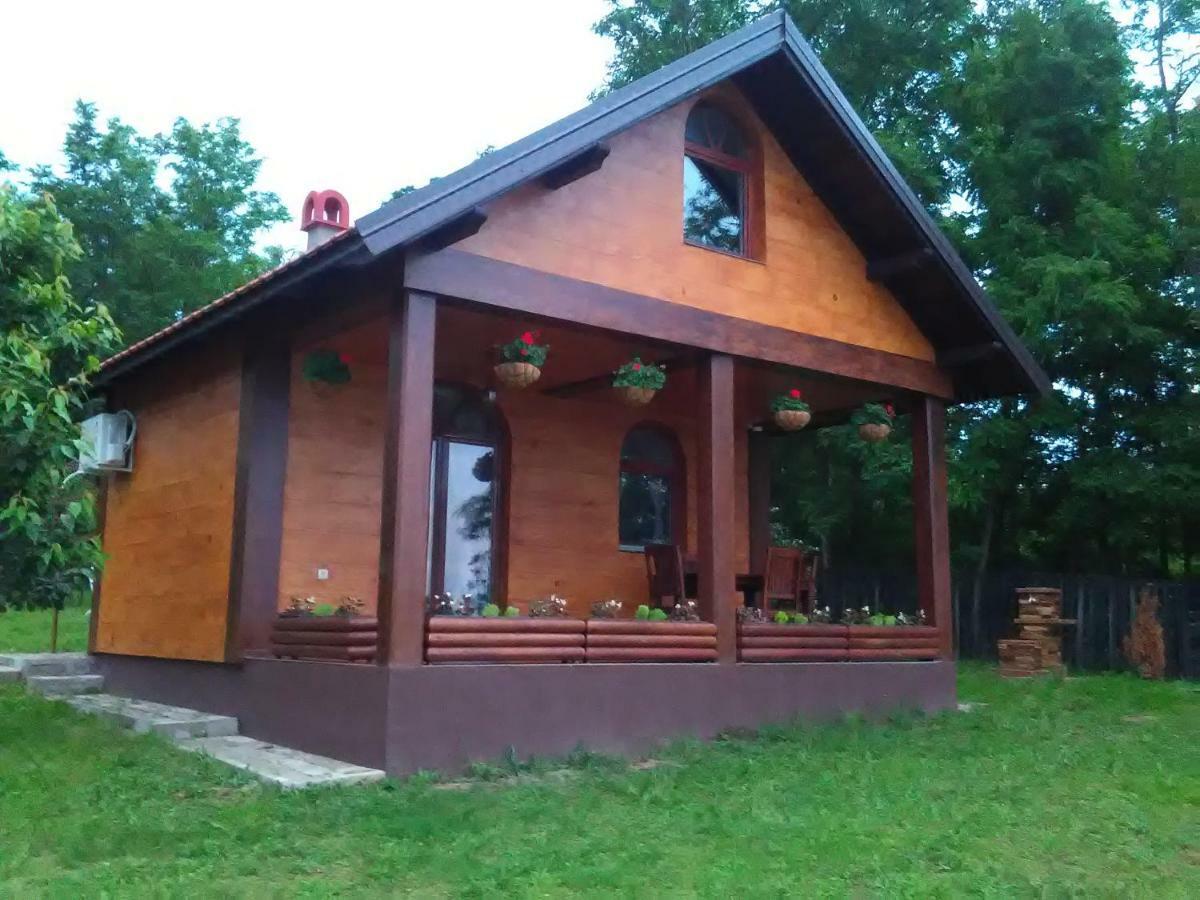 Villa Carobni Breg Golubac Esterno foto