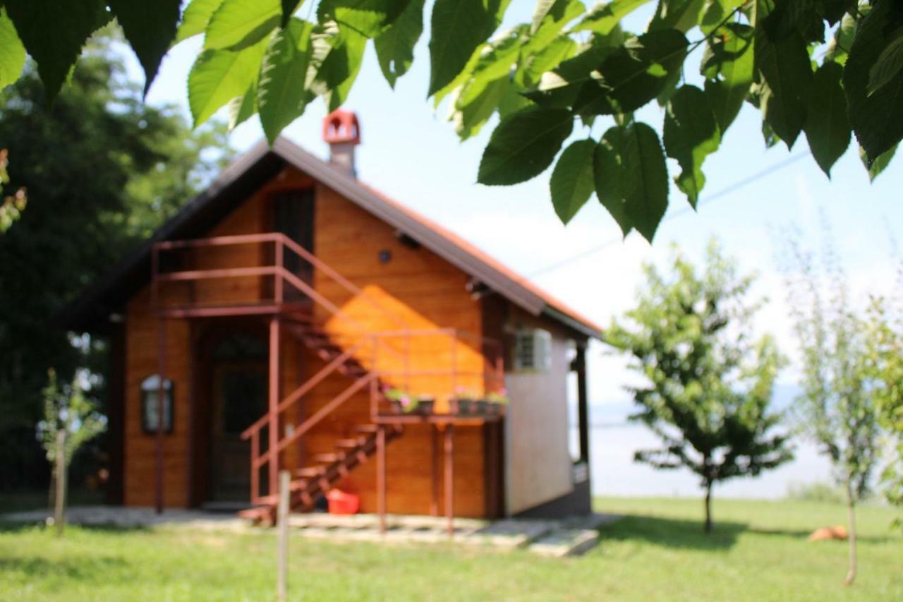 Villa Carobni Breg Golubac Esterno foto