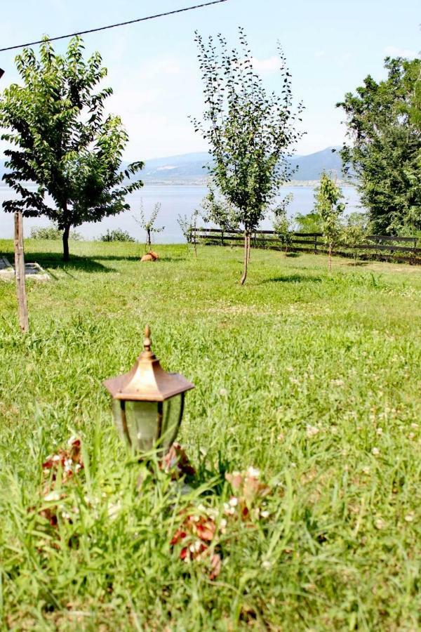 Villa Carobni Breg Golubac Esterno foto