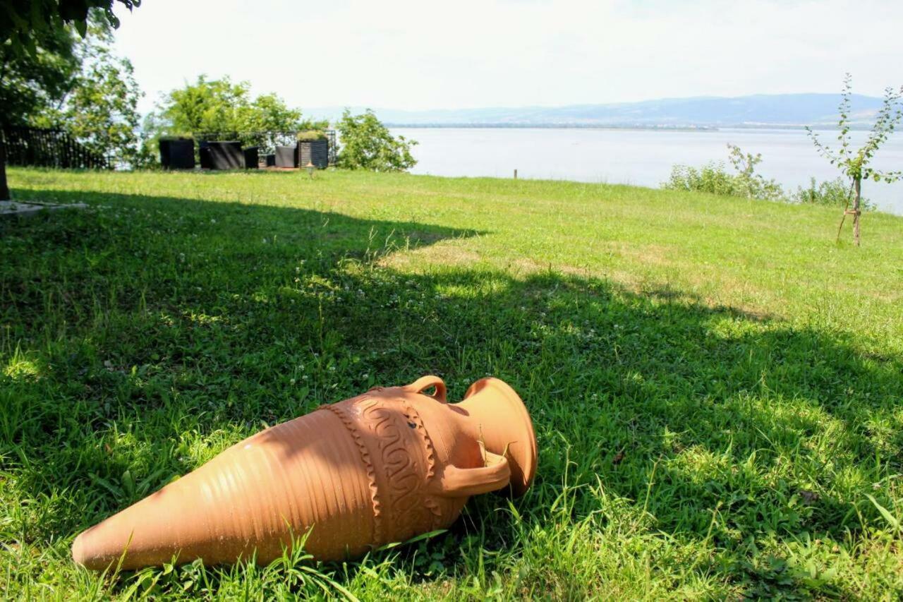 Villa Carobni Breg Golubac Esterno foto